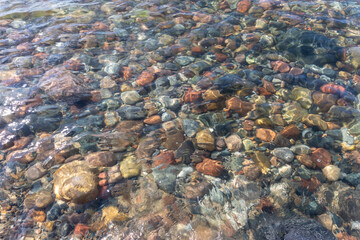 Multicolored smooth pebbles under clear shallow water near shoreline.