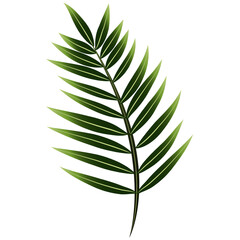 Naklejka premium green leaf isolated on white background