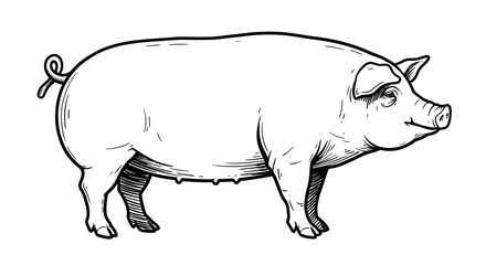 Detailed Line Art Illustration of a Pig in Profile View