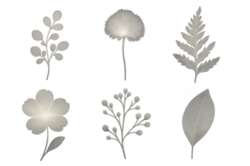 Set of grey floral elements isolated on transparent backdrop, botanical design