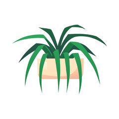 Vector illustration of a flower in a pot with green leaves. Plant for home, office, salon.