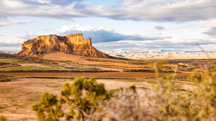 mountain with bush in the foreground