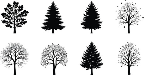 Fototapeta premium A collection of tree silhouettes is isolated on white background