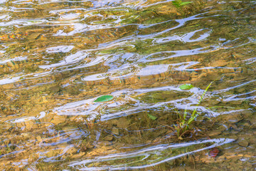 初夏の湖水の水面が波打つ02