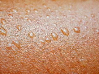 Skin, macro of water drops and texture or body of a person, armhair human and sweat with droplets