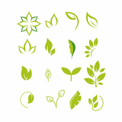 Set with green twigs. Icons on theme of natural eco products.