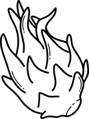 Obraz premium Vector illustration of a dragon fruit. Vibrant line art dragon fruit illustration with a white background