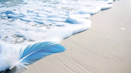 Azure Feather Resting Gently on Sandy Shoreline Kissed by Foamy Sea Waves