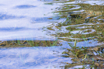 初夏の湖水の水面が波打つ13