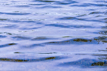 初夏の湖水の水面が波打つ12