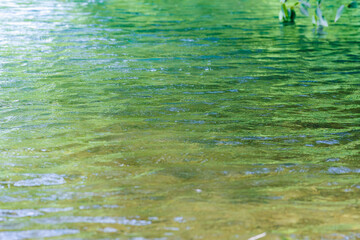  初夏の湖水の水面が波打つ04