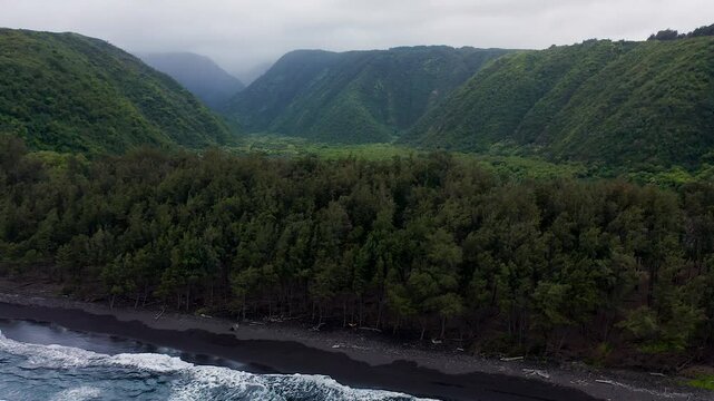 White waves roll onto a dark sand shoreline bordered by dense coastal forest, while steep green valley slopes rise into thick misty clouds in this wild and remote natural landscape.