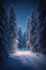Mystical winter wonderland scene featuring a snow-covered path leading through a dense forest under a starry night sky .