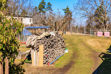 Rural backyard with stacked firewood and trees on a sunny day