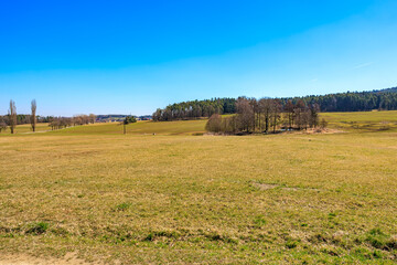 Vast green meadow with forest horizon under clear blue sky