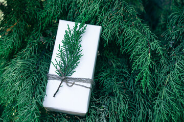 christmas gift of plain paper with pine sprig
