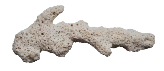 Fototapete Korallenriff dry coral reef isolated on transparent background  © PAKERTI