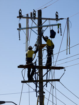 Workmen up an electricity pole