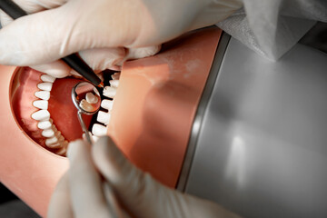 Close-up of dentist hands who is learning to treat teeth on human head mannequin. Hands of medical...