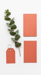Minimalist flat lay with eucalyptus branch and coral paper cards