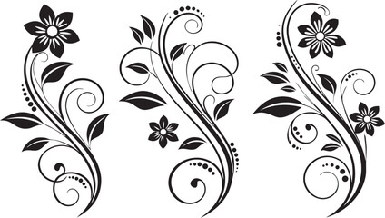 Three elegant black swirling floral vine designs with delicate leaves and star shaped flowers isolated on transparent background for decorative use