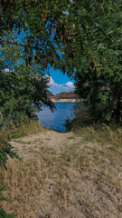 mountain river in the forest