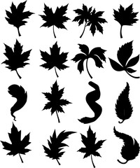 Fototapeta premium Dried Leaf Silhouettes Set 14 Curled Botanical Vector Icons