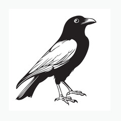 crow on a branch