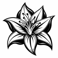 black and white flower
