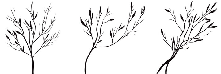 Minimalist hand drawn black silhouette of three slender tree branches with sparse leaves isolated on white background vector illustration for nature concepts and design use