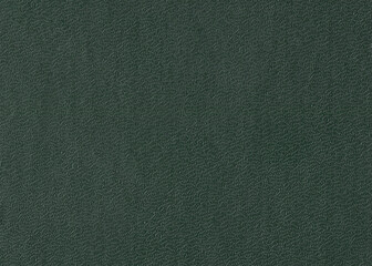 Bubbly green book cover texture background. Natural grainy surface texture for design.