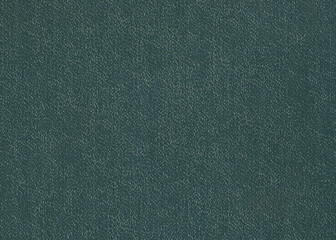 Bubbly green book cover texture background. Natural grainy surface texture for design.