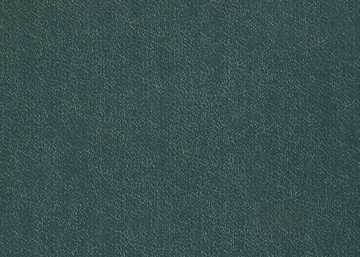 Bubbly green book cover texture background. Natural grainy surface texture for design.