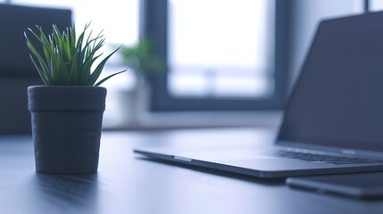 Modern Office Desk with Laptop, Plant and Phone