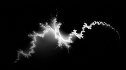 Ethereal fractal design in black and white exhibiting organic flow and complexity