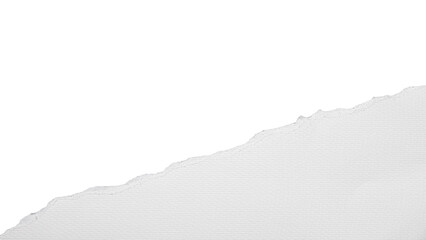 torn or ripped white paper isolated on transparent png background,realistic torn paper edges,Torn...