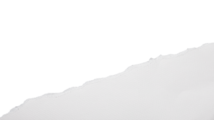 torn or ripped white paper isolated on transparent png background,realistic torn paper edges,Torn Paper effect mockup