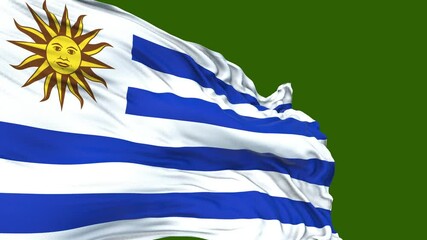 flag of Uruguay. close up of uruguay flag blowing in the wind. uruguay flag loop. green screen - Powered by Adobe