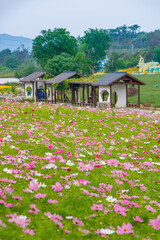 Wuhan Mulan Grassland Scenic Area Spring Scenery