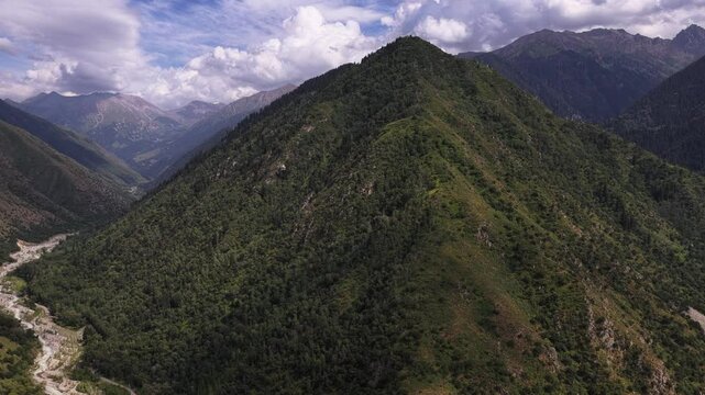 Talgar gorge, Tian Shan Mountains. Different vegetation and a mountain river. The view from the drone.