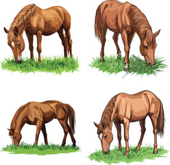 cute horse eating grass vector style on white background