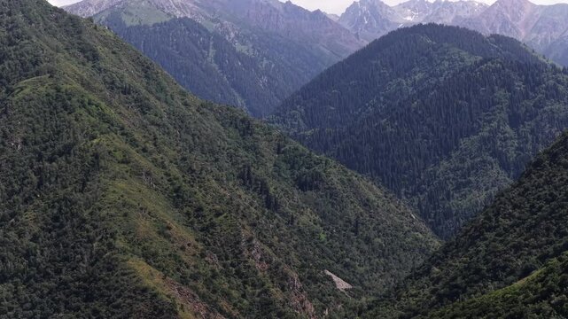 Talgar gorge, Tian Shan Mountains. Different vegetation and a mountain river. The view from the drone.