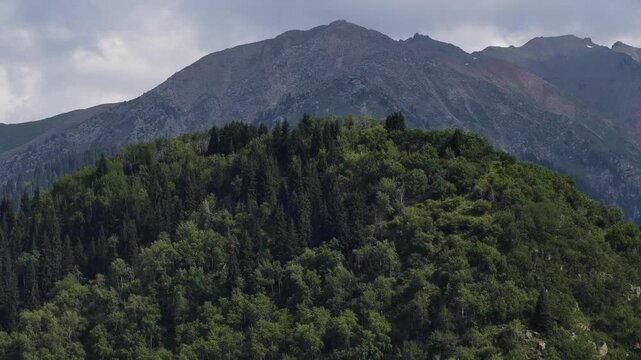 Talgar gorge, Tian Shan Mountains. Different vegetation and a mountain river. The view from the drone.