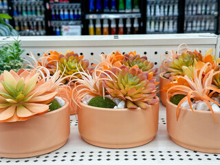 artificial succulents in soft peach-colored pots, displayed on a store shelf