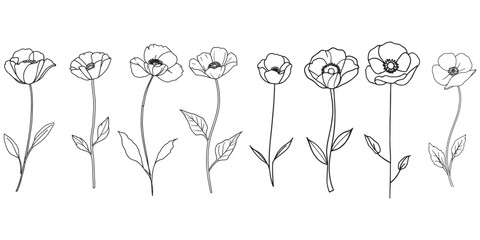 Hand Drawn Poppy Flower Set – Botanical Line Art Vector Illustration