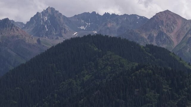 Talgar gorge, Tian Shan Mountains. Different vegetation and a mountain river. The view from the drone.