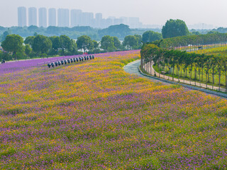 Wuhan Hua Bo Hui Scenic Spot Spring Scenery