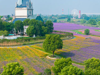 Wuhan Hua Bo Hui Scenic Spot Spring Scenery