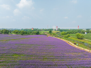 Wuhan Hua Bo Hui Scenic Spot Spring Scenery