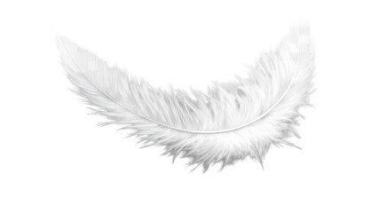 Soft feather with light texture and natural shape isolated on white background